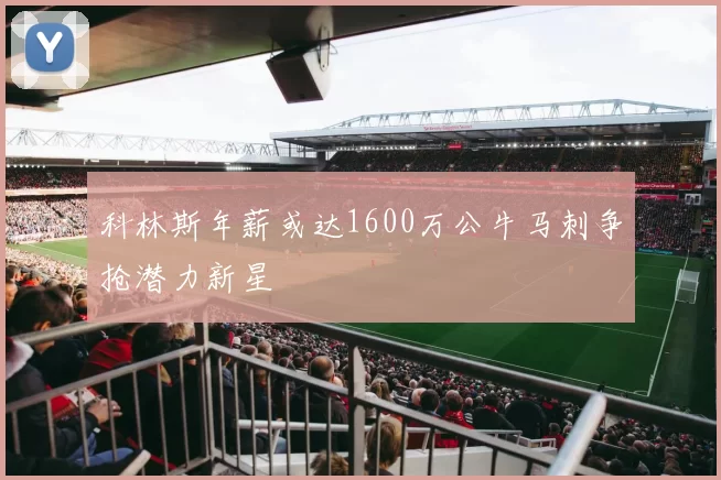 科林斯年薪或达1600万公牛马刺争抢潜力新星